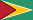 Flag of Guyana